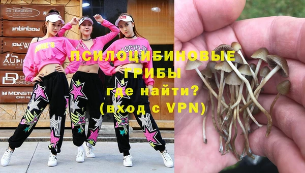 прущая мука Армянск